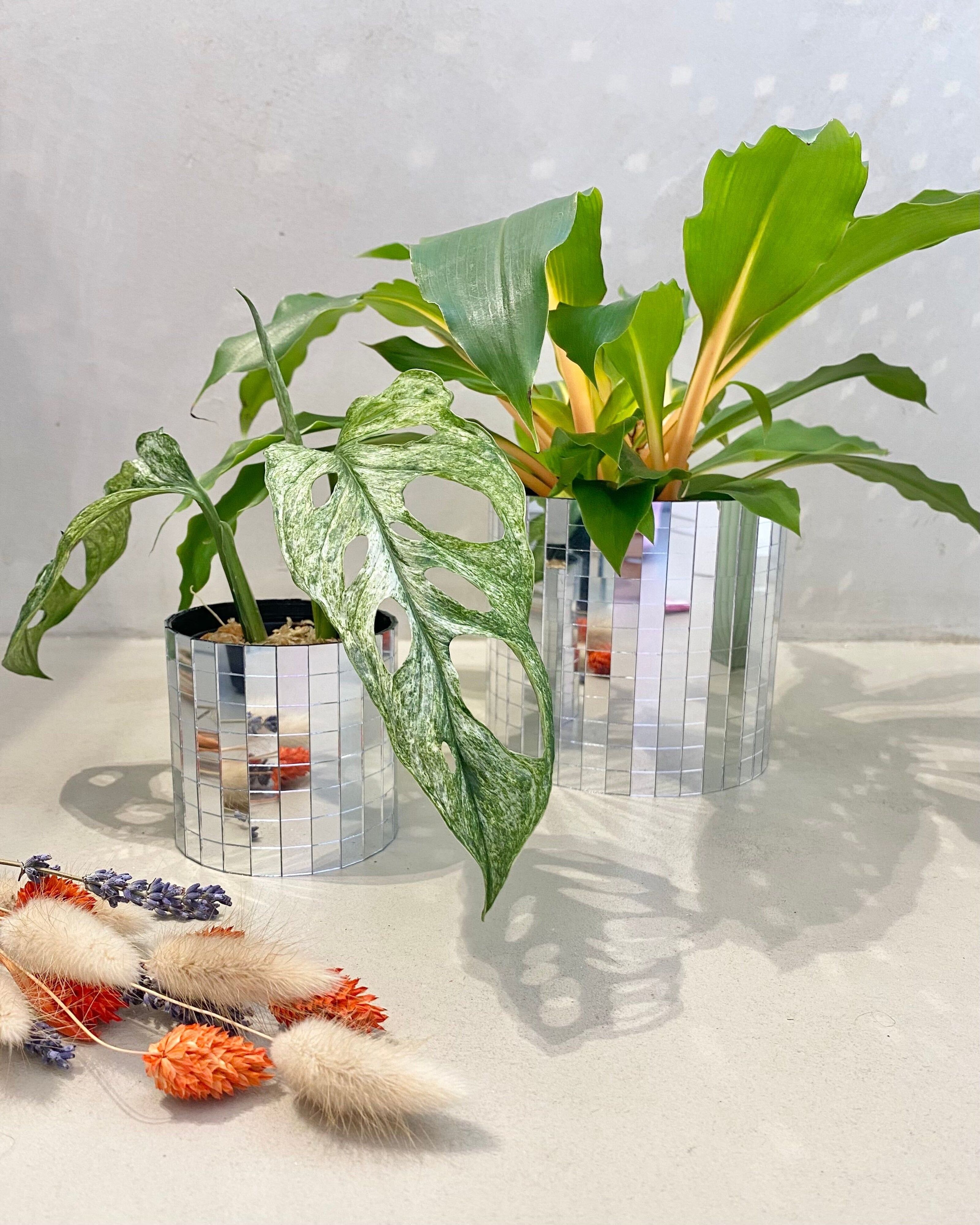Manchette cache pot - Fourniture - Emballage - Art floral et décoration