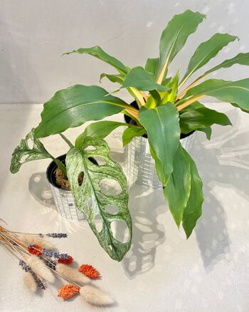 Achat Cache-pot Disco en Mosaïque Miroir pour Plantes - Design