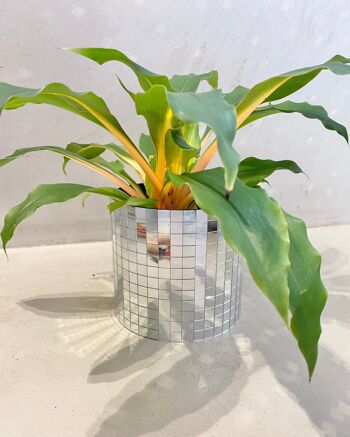 Achat Cache-pot Disco en Mosaïque Miroir pour Plantes - Design