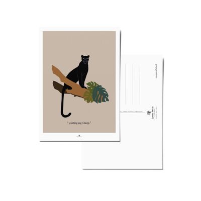 Cartolina in gruppi di 25 - La Panthere