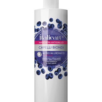 Hyaluronic acid blueberry hair mask (300ml) anti-yellow tint