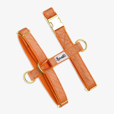 MANGO TANGO harness