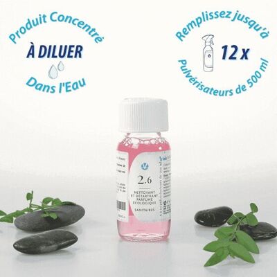 Ecological Sanitary Descaler Concentrate 3-in-1 No. 2.6