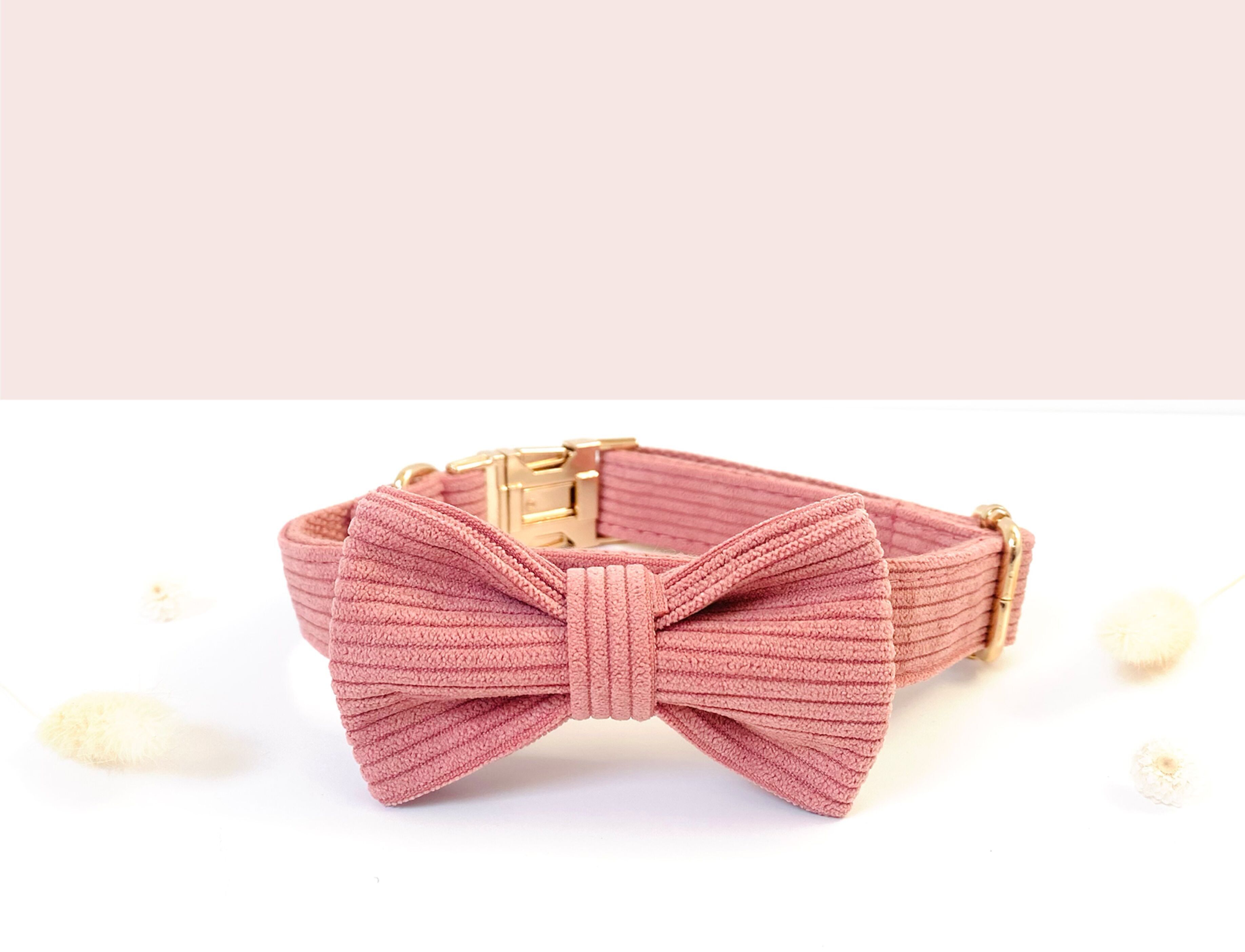 Pajarita de pana coral