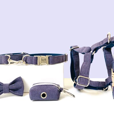 Lavendel-Cord-Hunde-Komplettset