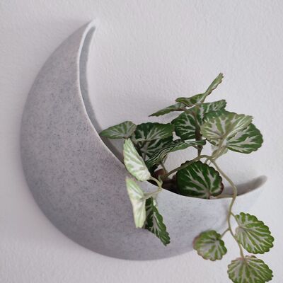 Mondförmiger Hängepflanzer – Heim- und Gartendekoration