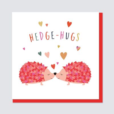 Cute Hedgehogs Valentine's Day Card