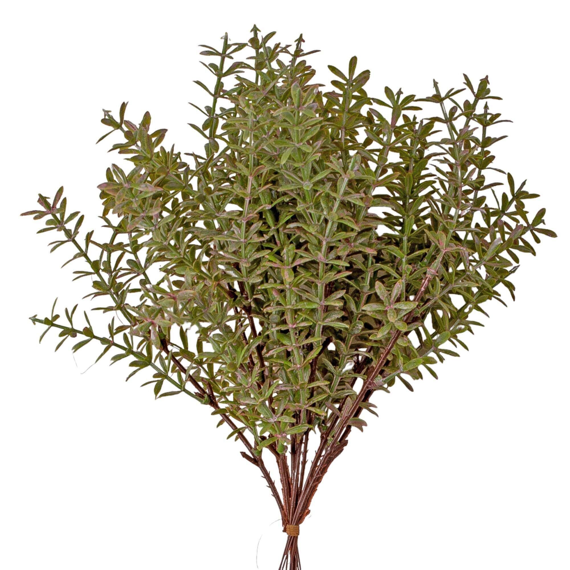 Fascio di liquirizia, 12 fili, alto 26 cm