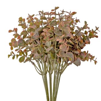 Faisceau d'Eucalyptus, hauteur 34 cm, 12 brins - Vert rosé