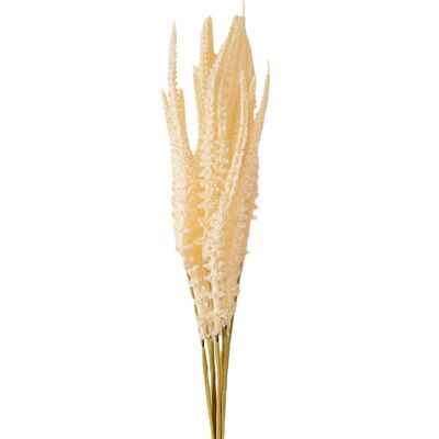 Faisceau de sauge, 6 brins, hauteur 50 cm - Beige