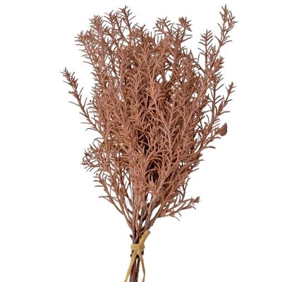Fascio di piante artificiali di rosmarino, 6 fili, alti 47 cm - Marrone