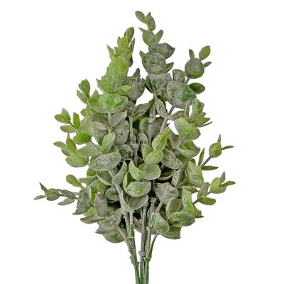 Bouquet d'eucalyptus, 30 cm de haut, 5 branches, vert