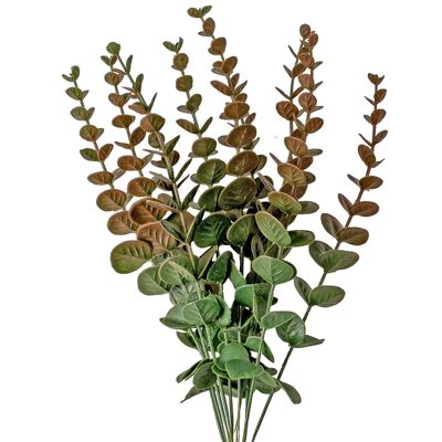 Eucalyptus bundle, 34 cm high, 10 strands - Reddish dark green