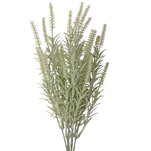 Rosemary bouquet, 45 cm high - Green