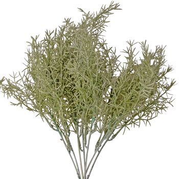 Bouquet d'asperges, 35 cm de haut, 7 branches