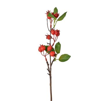 Branche d'églantier de 36 cm de haut - Rouge
