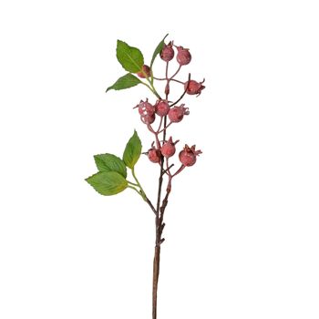Branche d'églantier de 36 cm de haut - Rose rouge