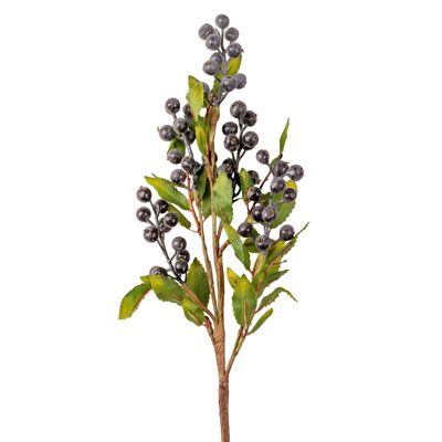 Blueberry branch with blue berries, 66cm high