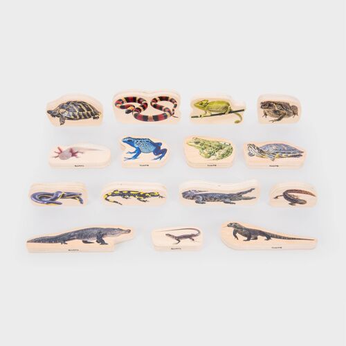 Wooden Reptile & Amphibian Blocks - Pk15