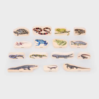 Holzblöcke für Reptilien und Amphibien – 15 Stück