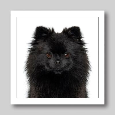 Gruffpawtraits limited