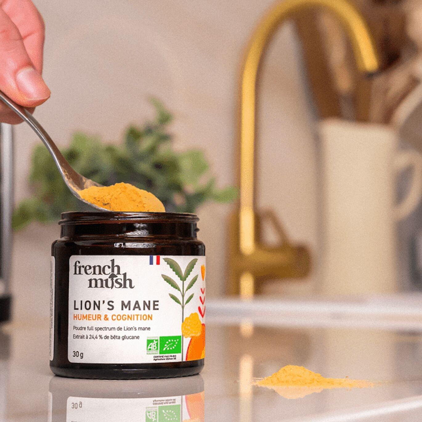 Lion's Mane Extract Powder