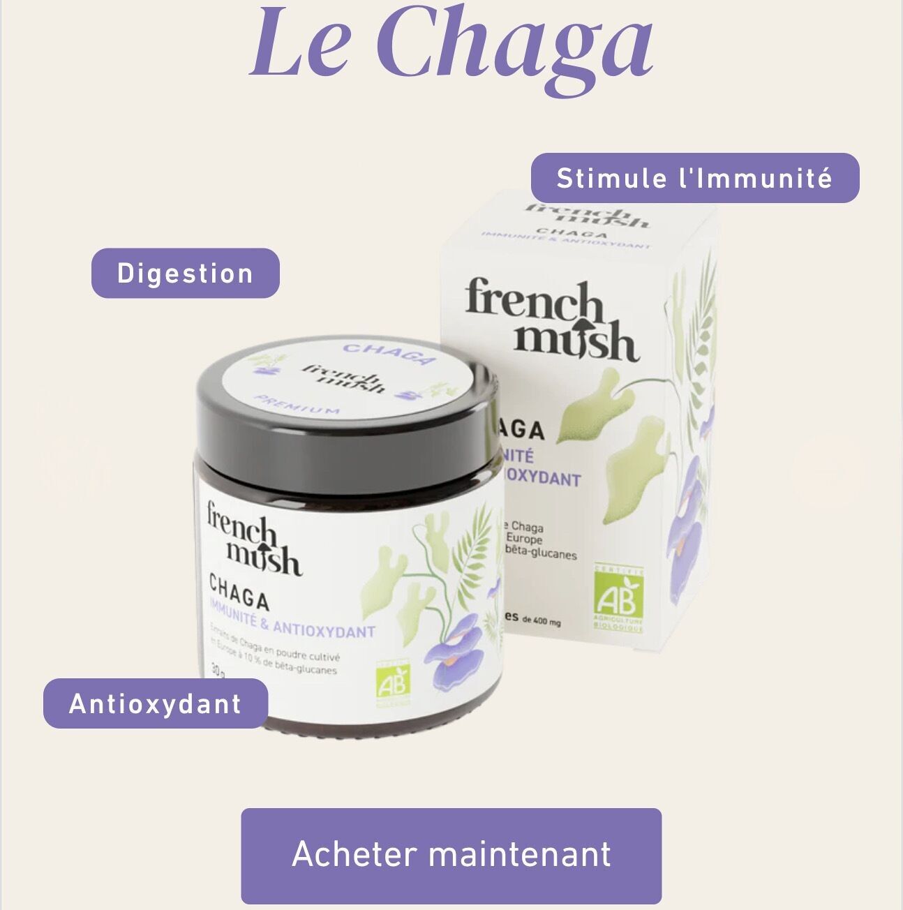 Polvere di estratto di Chaga