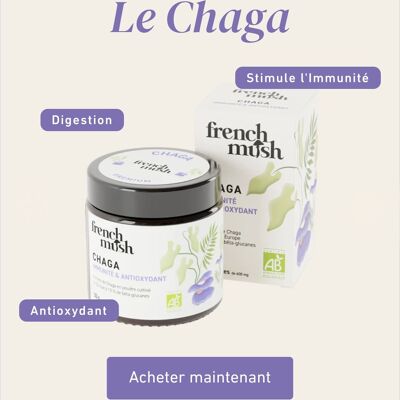 Poudre d'extraits de Chaga