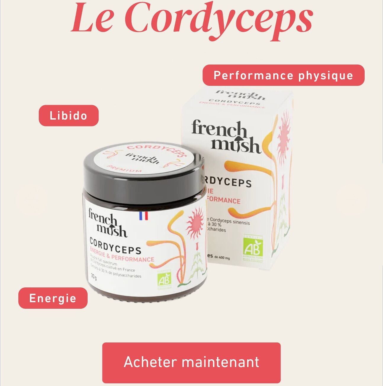Polvere di estratto di Cordyceps