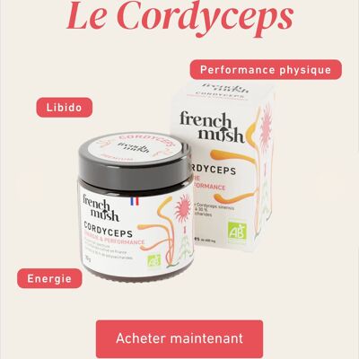 Cordyceps-Extrakt-Pulver