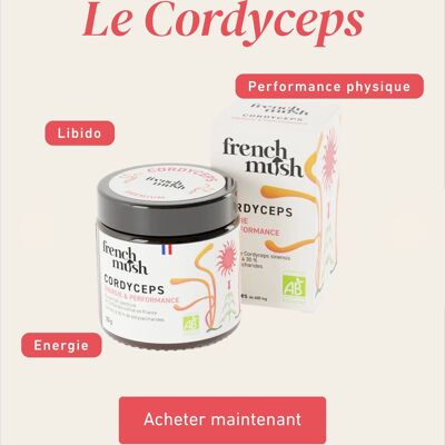 Poudre d'extrait de Cordyceps