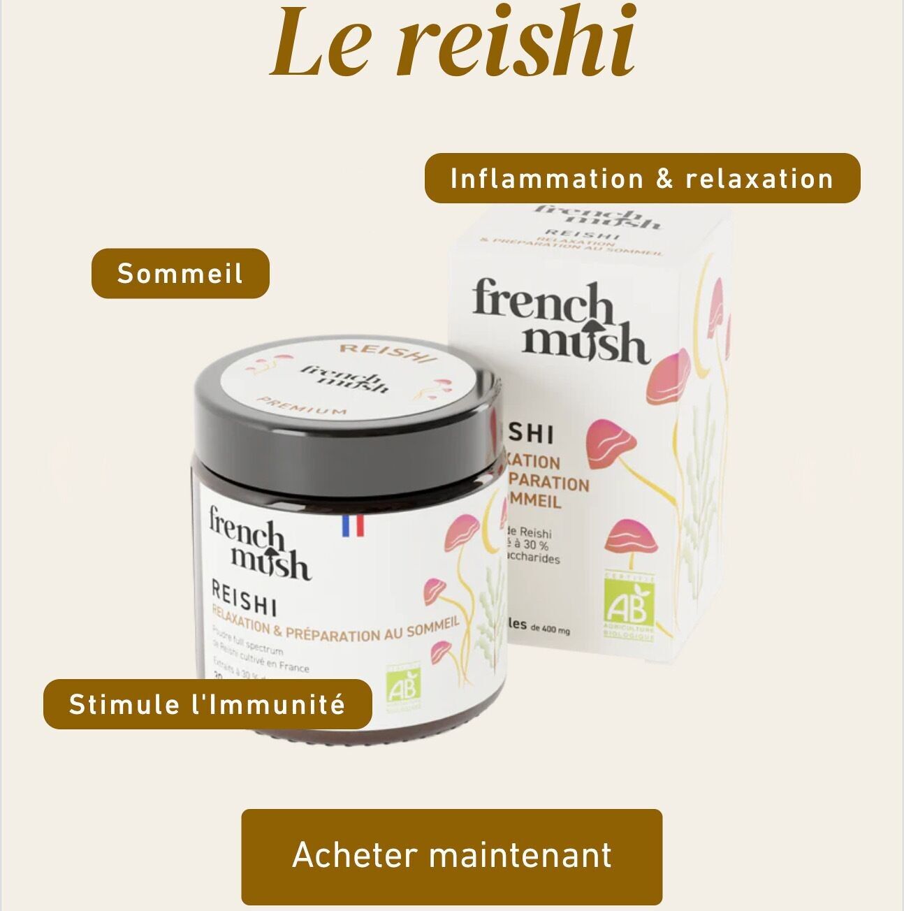 Estratto di Reishi in polvere