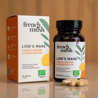Lion's mane extract capsules