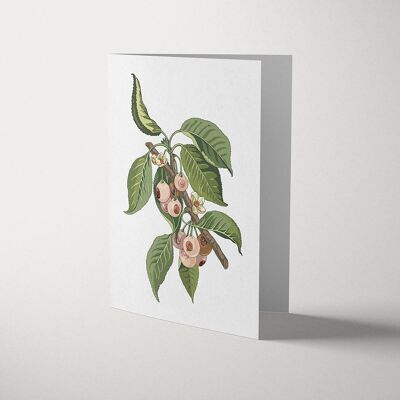 Hanging | A6 greeting card