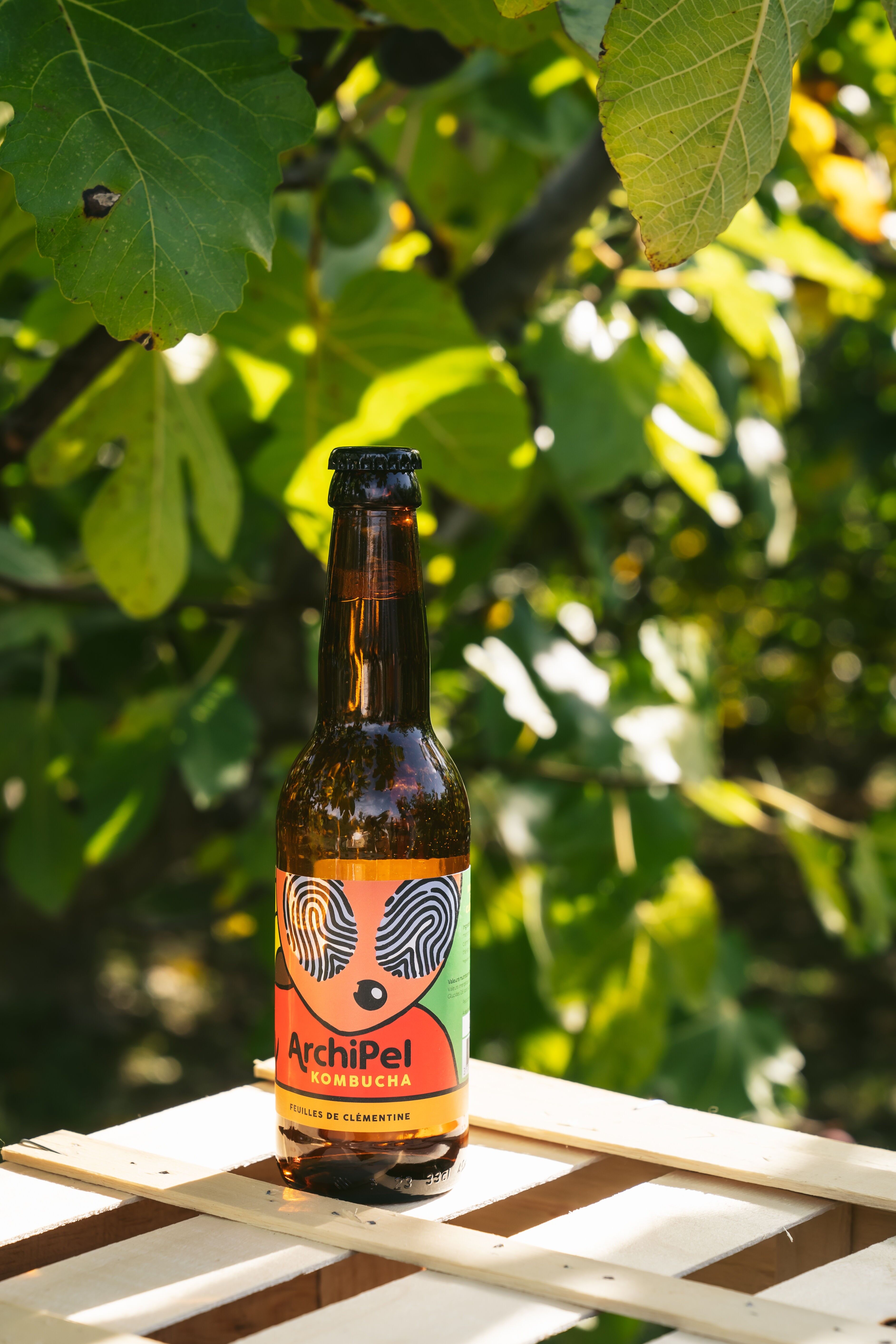 Foglie di clementina Kombucha - 33cl (x12)