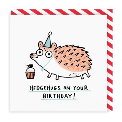 Hedgehugs On Your Birthday Greeting Cards (4714)