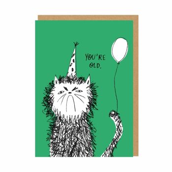 Carte d'anniversaire You're Old Cat (9466) 1