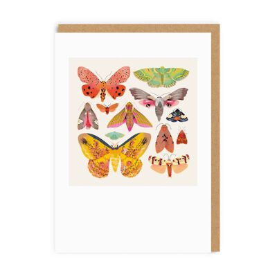 Carte de vœux papillons et papillons (7425)
