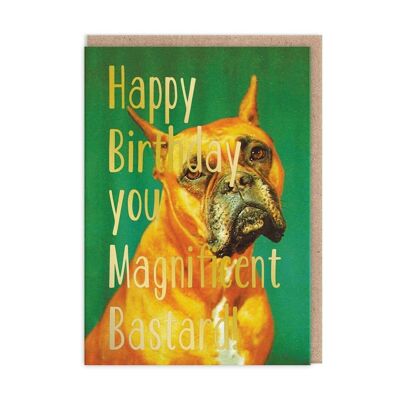 You Magnificent Bastard Birthday Card (9208)