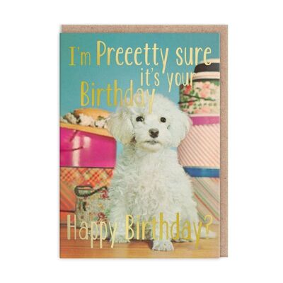 Pretty Sure Its Your Birthday Card (9212)