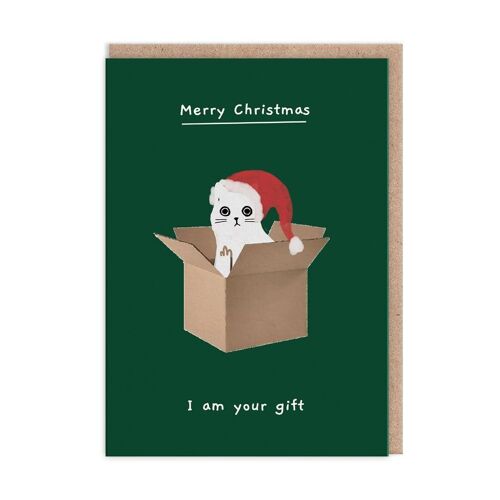 Merry Christmas I Am Your Gift Christmas Card (9678)