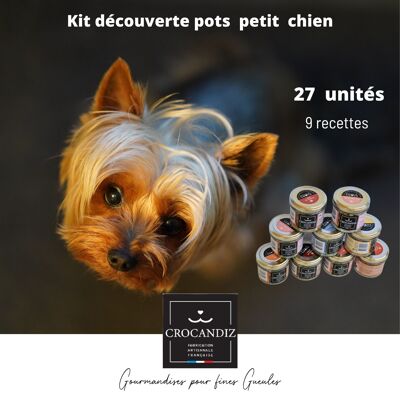 Töpfchen-Entdeckungsset für kleine Hunde