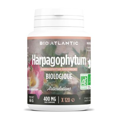 Harpagophytum Biologique - 400 mg - 120 comprimés