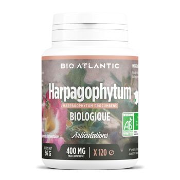 Harpagophytum Biologique - 400 mg - 120 comprimés 1