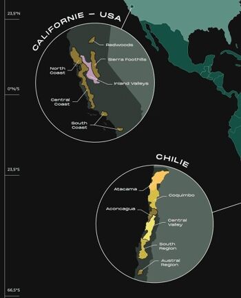 Carte des vins à gratter - Monde 5