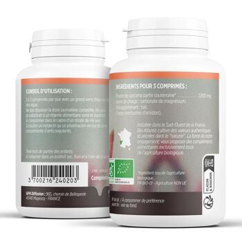 Curcuma Biologique - 400 mg - 200 comprimés 2