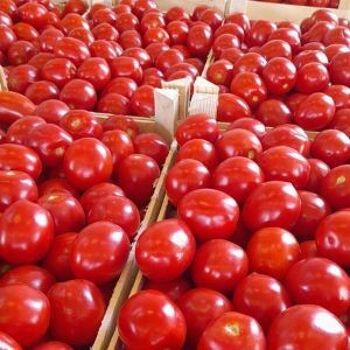 Purée de tomates 350 gr. 2
