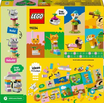 LEGO 11034 - Animaux De Compagnie Créatif Classic 2