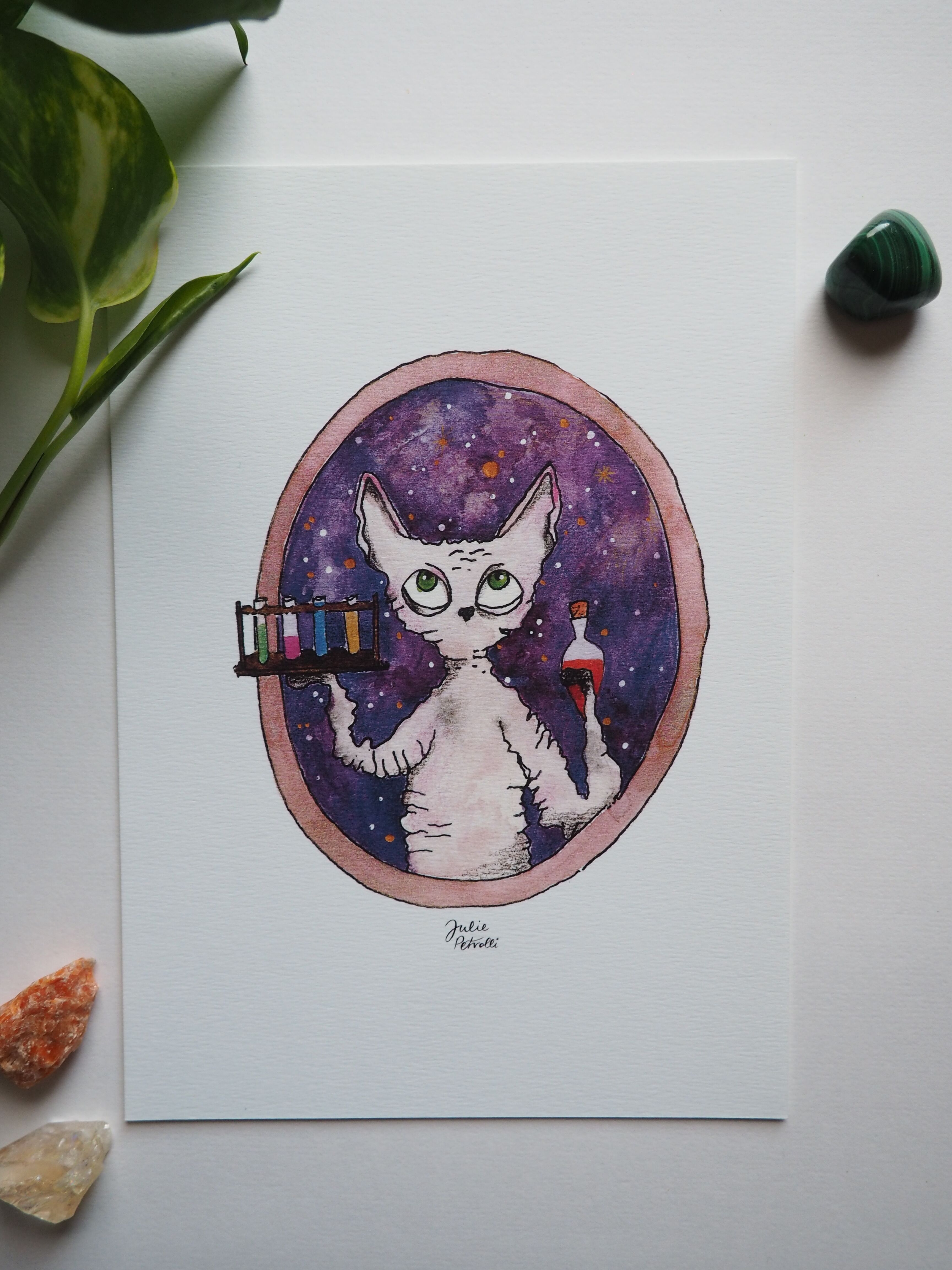 Illustrazione A5 - gatto e pozioni