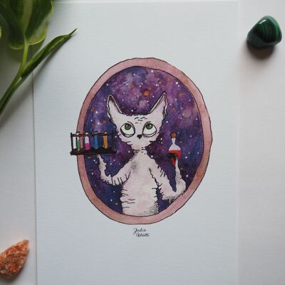 Ilustración A5 - gato y pociones